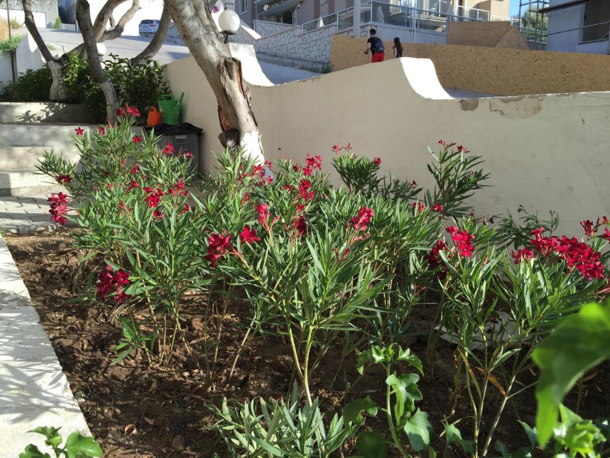 Çeşme Cicek Apart Hotel المظهر الخارجي الصورة